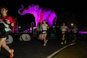 BIB: 
                            <button type="button" onclick="openModal(26534920)" class="btn btn-primary btn-sm float-right btn-popup" data-toggle="modal" data-target=".modal-high-quality">
                        <i class="fas fa-shopping-cart"></i> Add to Cart
                    </button>
                                            <button type="button" onclick="isThisMe(26534920, true)" class="btn btn-success btn-sm float-right btn-popup btn-isme hidden" data-toggle="tooltip" data-placement="bottom" title="นี่คือรูปของคุณใช่ไหม คลิกที่นี่เพื่อเอาเข้าอัลบั้ม">
                        <i class="fas fa-plus"></i> Add to album
                    </button>
                    <button type="button" onclick="isThisMe(26534920, false)" class="btn btn-warning btn-sm float-right btn-popup btn-isnotme hidden">
                        <i class="fas fa-ban"></i> Remove from album
                    </button>